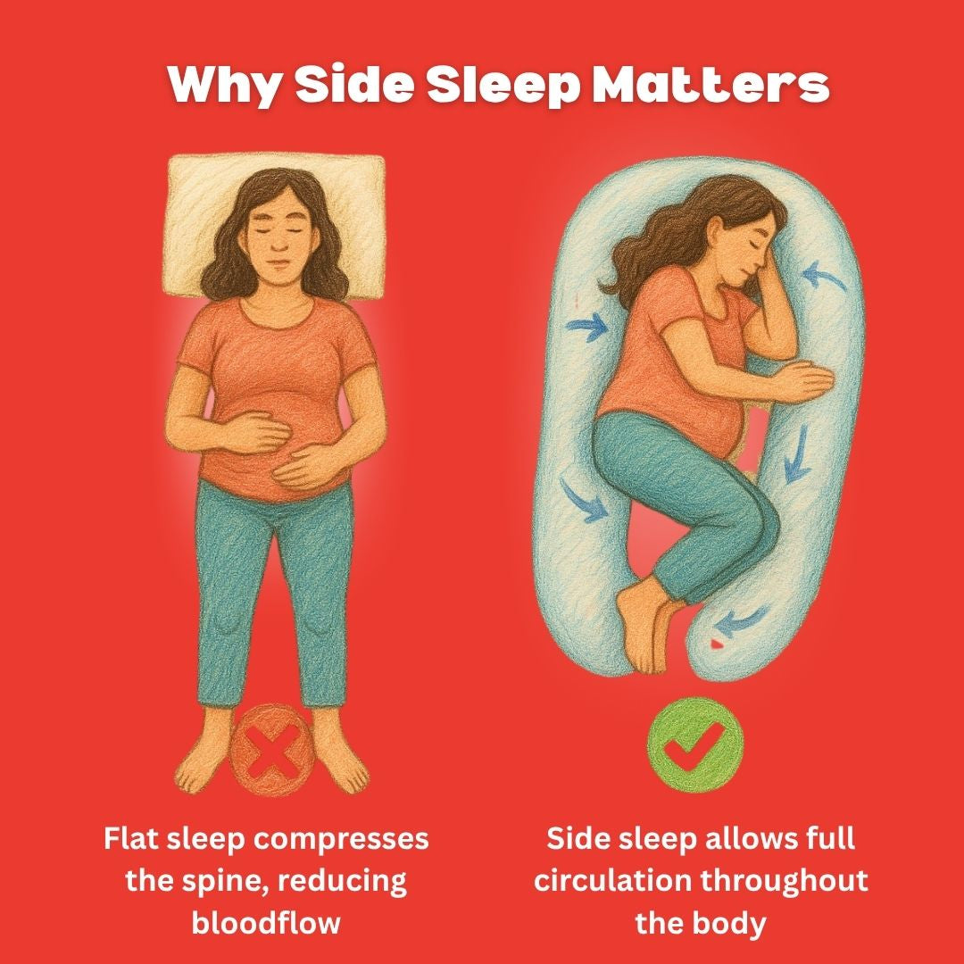 The Belly Cloud - 2025 Version