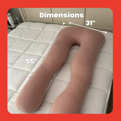 The Belly Cloud - 2025 Version