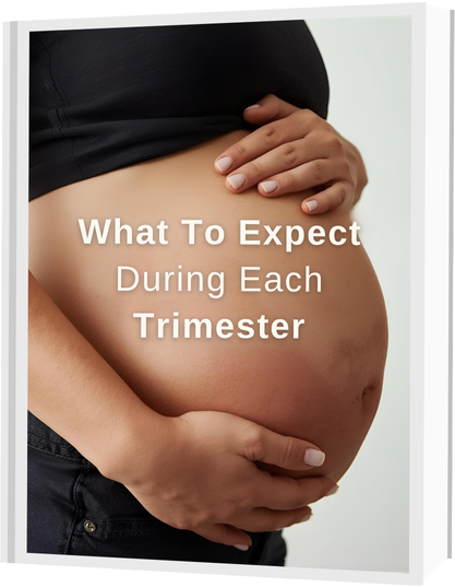 What To Expect Each Trimester (Digital Guide)
